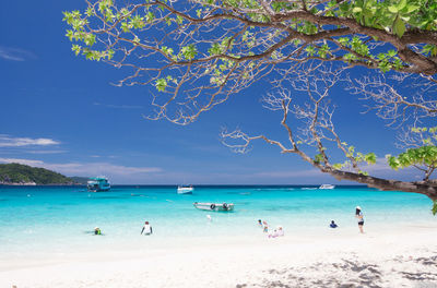 Scenic view of beach against blue sky