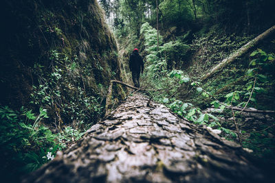 Solo man hiker walking on a treen trunk during enjoying time alone in nature