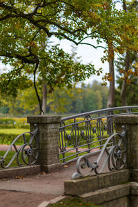 View of gate against trees in park