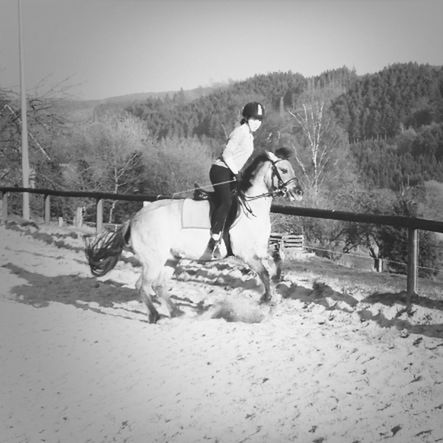 domestic animals, mammal, animal themes, pets, one animal, dog, livestock, full length, two animals, togetherness, horse, working animal, lifestyles, men, leisure activity, riding, standing, clear sky