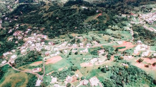 High angle view of trees on landscape