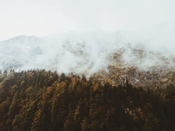 Scenic view of forest against sky during winter