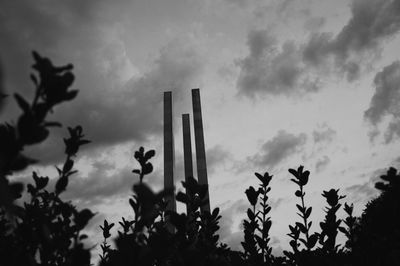 Low angle view of plants against sky