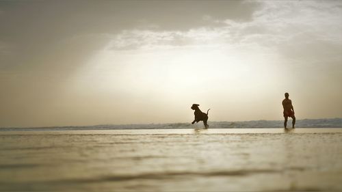 Man with dog standing on shore at beach against sky