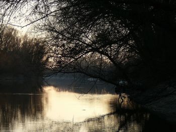 Silhouette bare tree by lake against sky during foggy weather