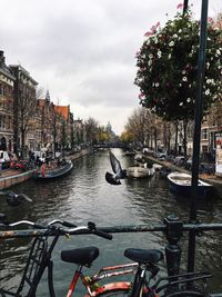 Boats in harbor