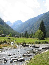 Scenic view of landscape against sky