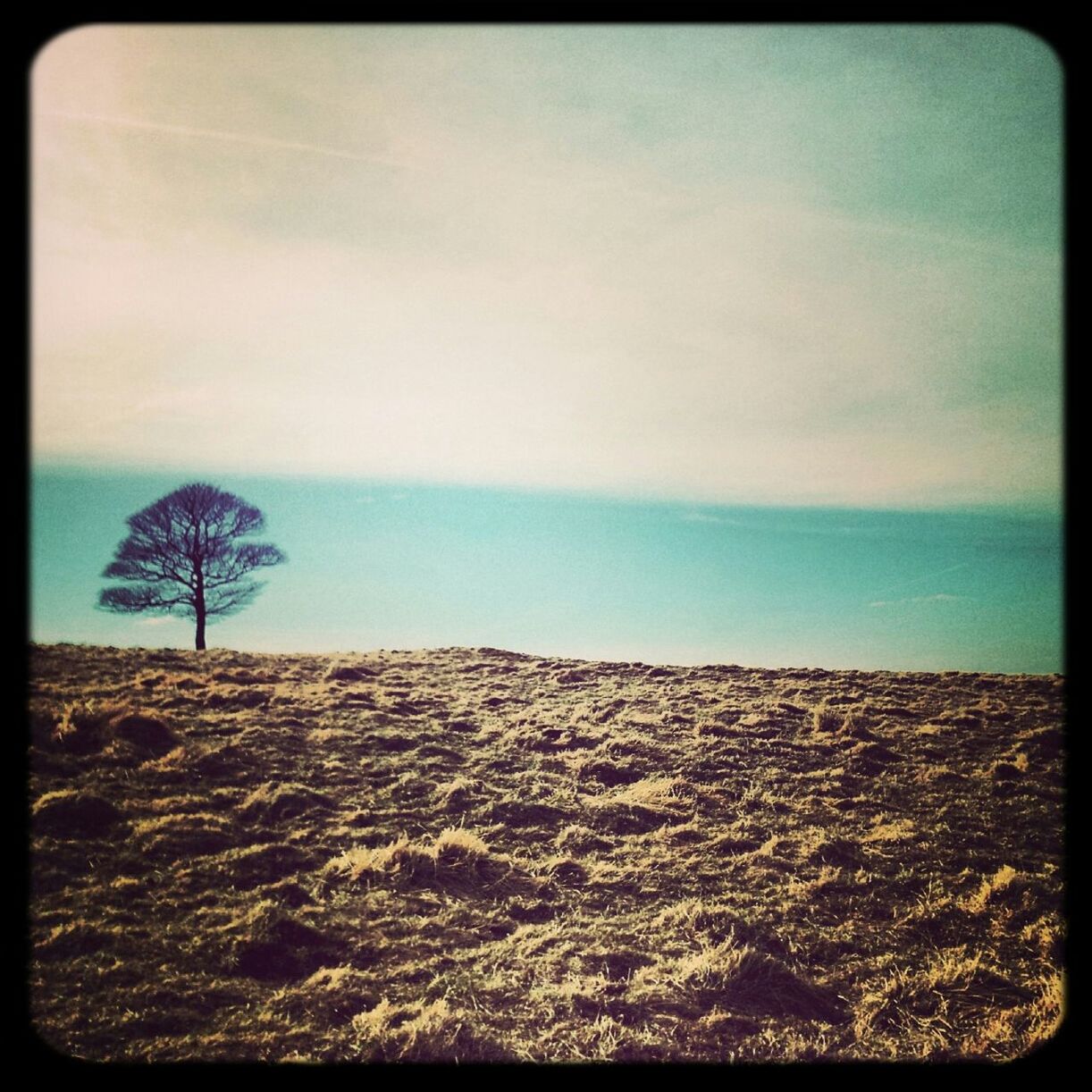 Lyme park