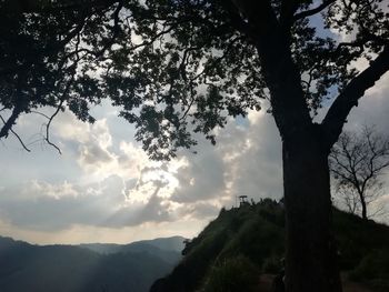 Low angle view of silhouette tree against sky at sunset