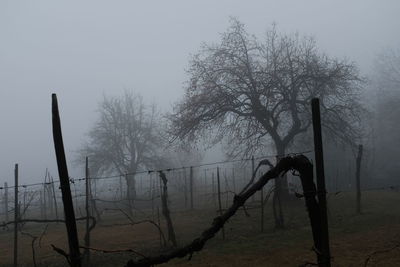 Bare trees on landscape against sky