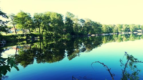 Trees by lake against sky