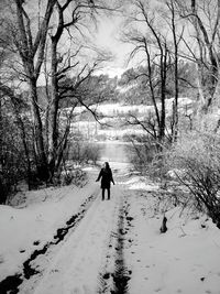 Bare trees on snow covered landscape