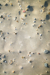 Pebbles on beach