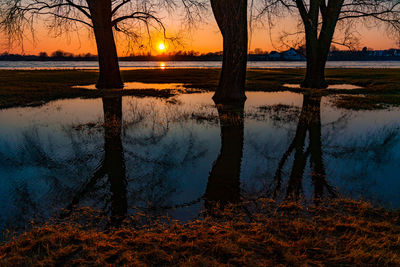 Reflection of bare trees in lake at sunset