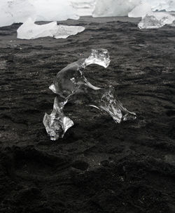 Chunks of glacial ice washed ashore at diamond beach, iceland