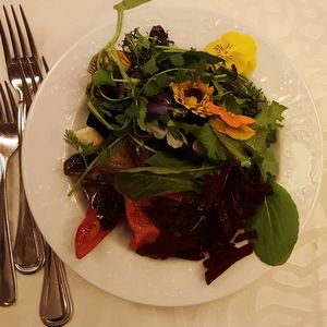 Close-up of food served in plate