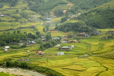 Scenic view of agricultural field by houses and trees