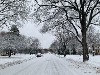 Snow covered road amidst bare trees in city