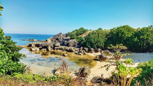 Scenic view of sea against clear sky
