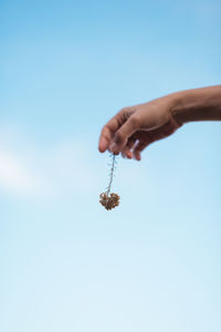 Close-up of hand holding plant against clear blue sky