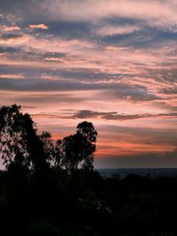 Silhouette trees against sky during sunset