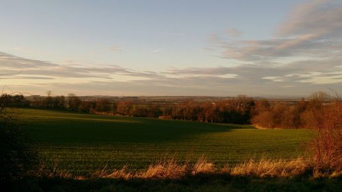 Scenic view of field against sky