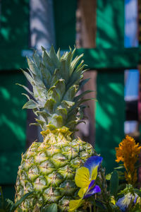 Close-up of flowering plant