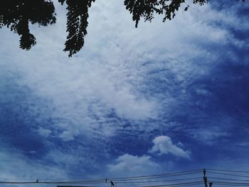 Low angle view of trees against blue sky