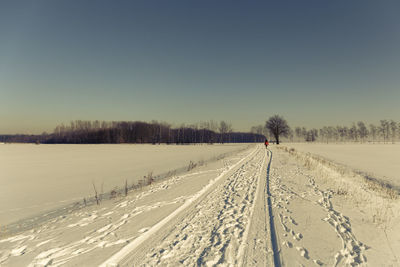 Rear view of person walking on snow covered field against clear blue sky