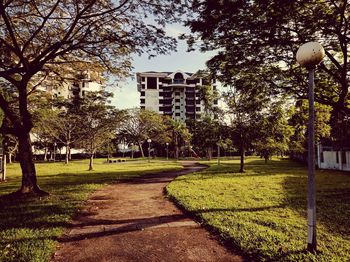 Footpath in park