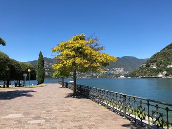 Footpath by trees against clear blue sky