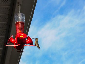 Low angle view of illuminated lamp against sky