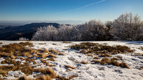 Scenic view of snow covered field against sky