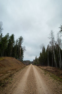 Dirt road along trees and plants against sky