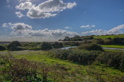 Scenic view of field against sky