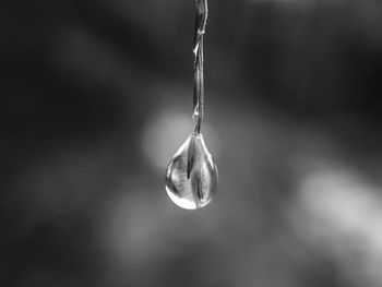 Close-up of ice hanging in winter