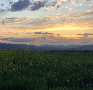 Scenic view of field against sky during sunset