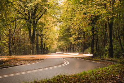 Road passing through trees