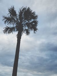 Low angle view of tree against cloudy sky