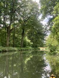 Scenic view of lake in forest
