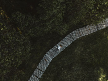 Aerial view of a hiking girl laying on the wooden pier,in the evergreen forest. aerial portrait