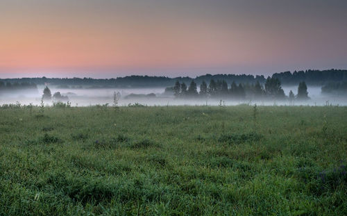 Scenic view of landscape against sky during foggy weather