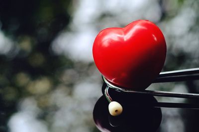 Close-up of red heart shaped tomatoes