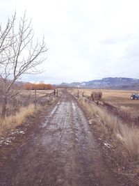 Empty road along countryside landscape