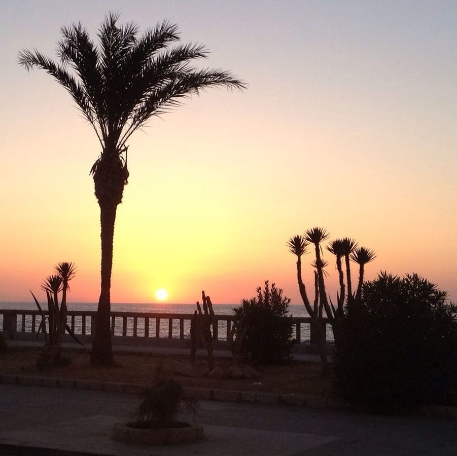 sunset, palm tree, silhouette, tree, sea, orange color, scenics, tranquil scene, tranquility, beauty in nature, horizon over water, sun, beach, water, nature, idyllic, sky, growth, shore, tree trunk