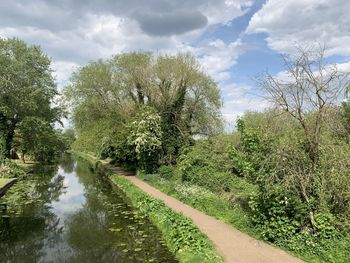 Panoramic shot of road amidst trees against sky