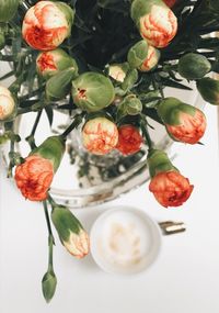 Close-up of flowers and plants