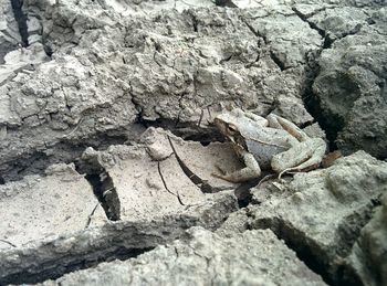 Close-up of rocks