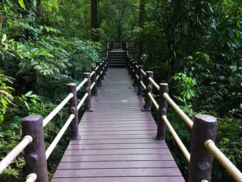 Wooden footbridge amidst trees in forest