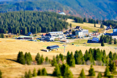 Tilt-shift image of houses on field